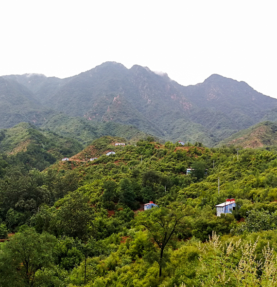 國家柴雞生態養殖基地